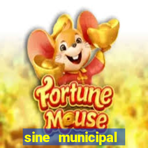 sine municipal porto velho